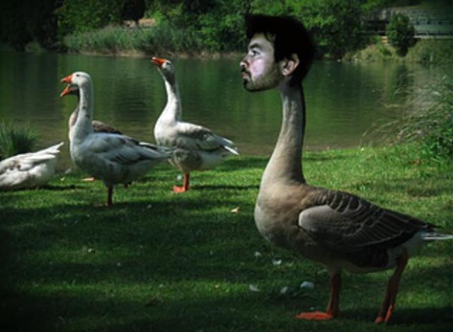 Li nadari giullari - immagine